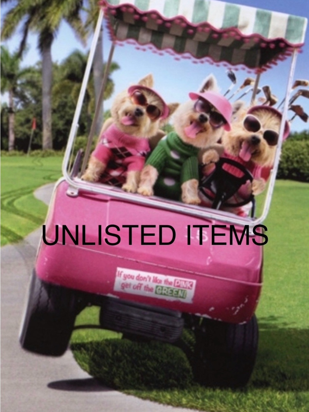 Unlisted Items - Picture 4 of 8